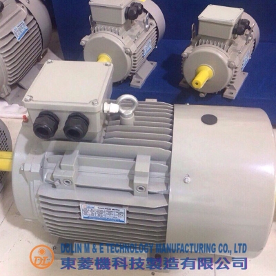 Working of Electric Motor